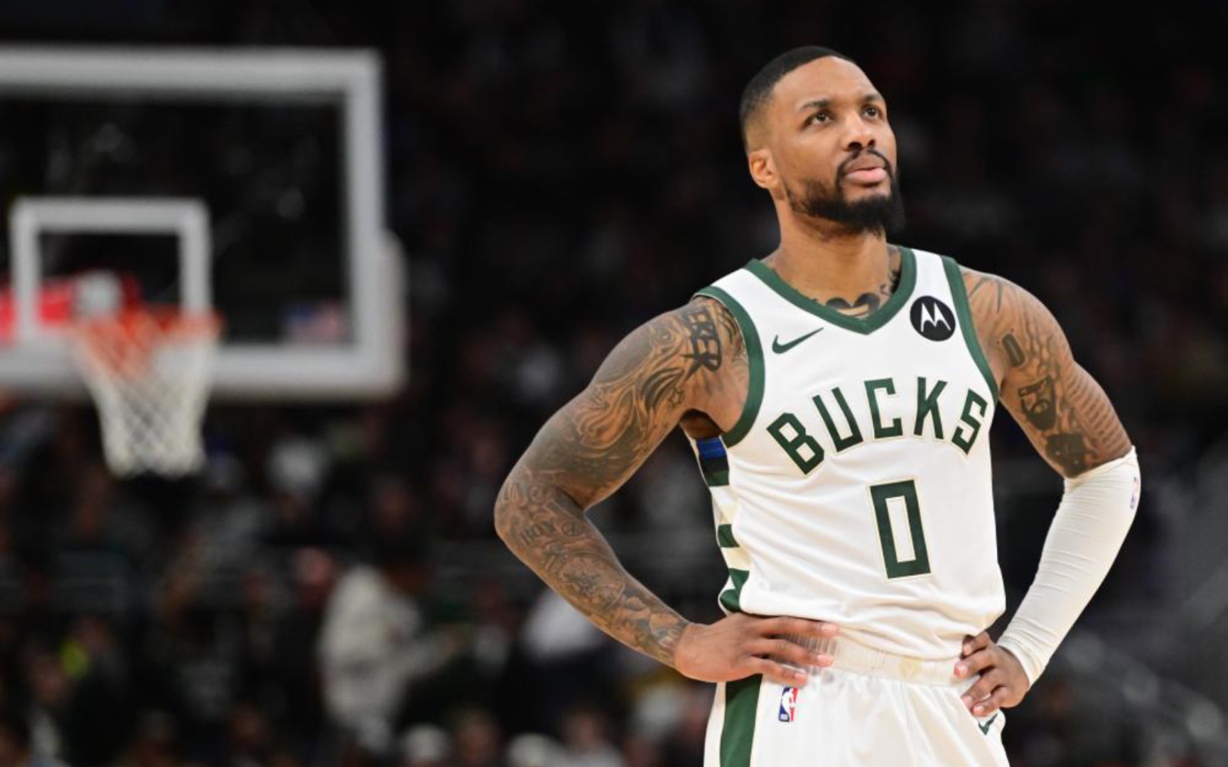 是这种引援 是这种引援